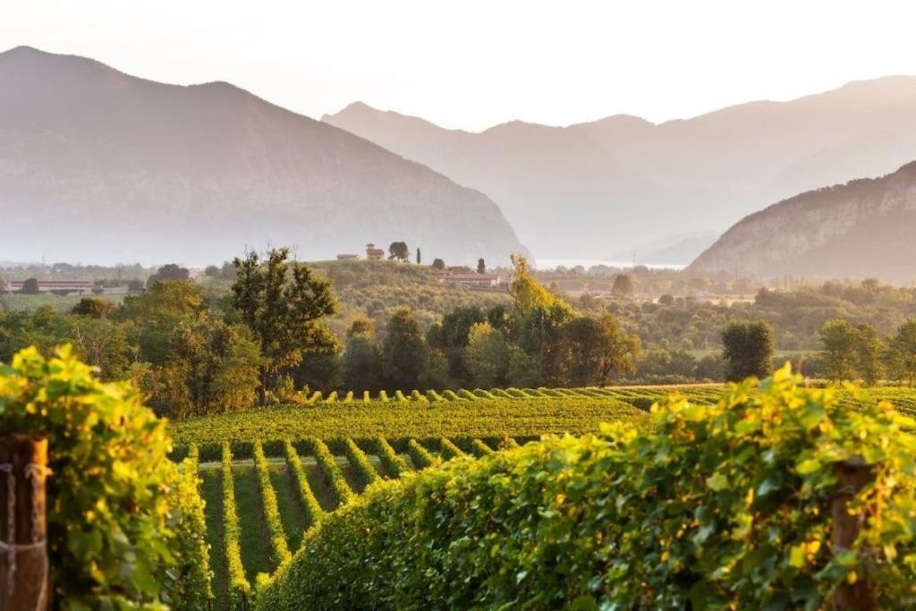 La Dolce Vita - Vista Lago E Piscina Parzanica ภายนอก รูปภาพ